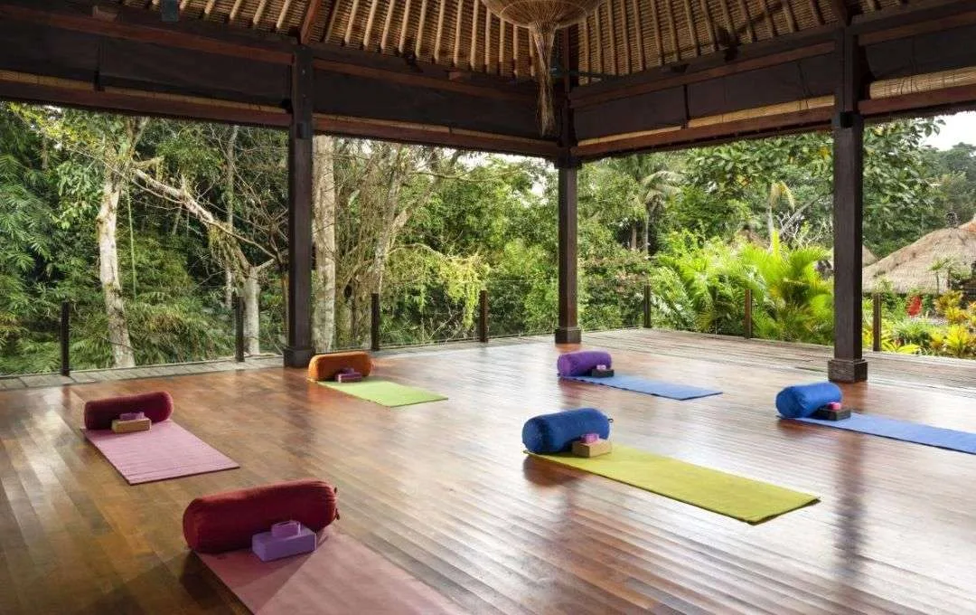 Retiro MBSR intensivo redução stress formato imersivo